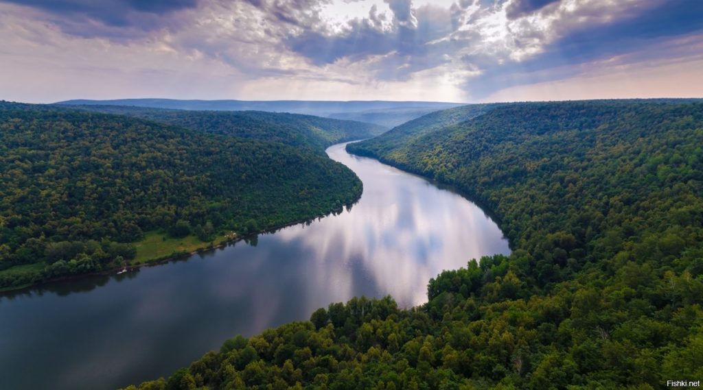 Река ипуть сураж фото