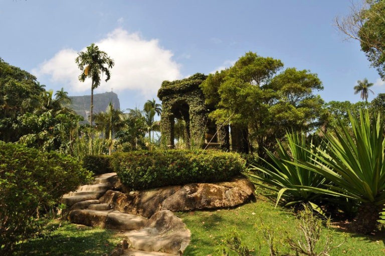 Красивый ботанический сад в Рио Де Жанейро