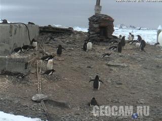 Веб-камера на антарктической станции