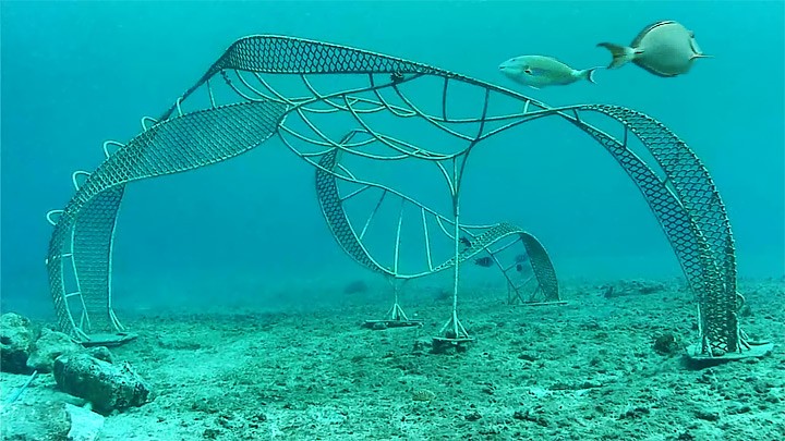 Подводная веб-камера на рифе острова Косумель
