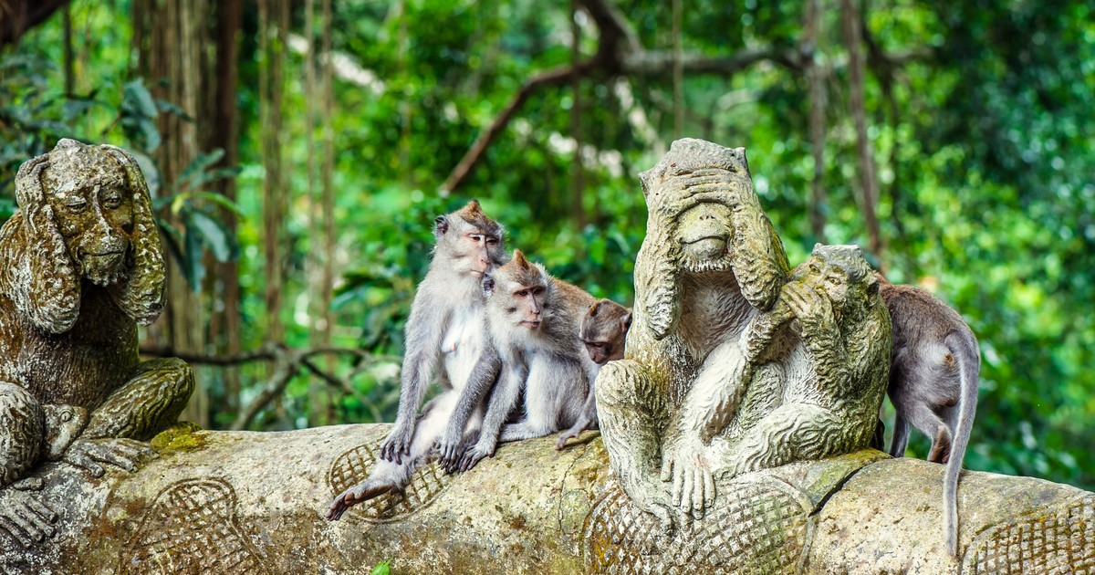 Лес обезьян в Убуде