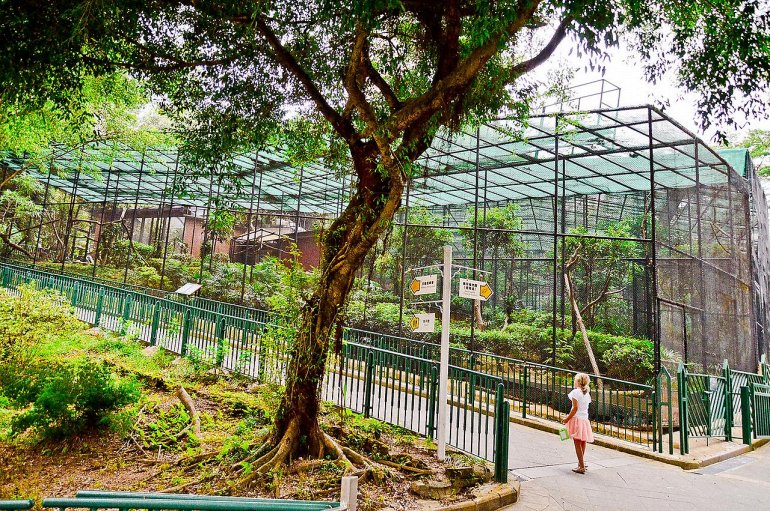 Ботанический и Зоологический сады