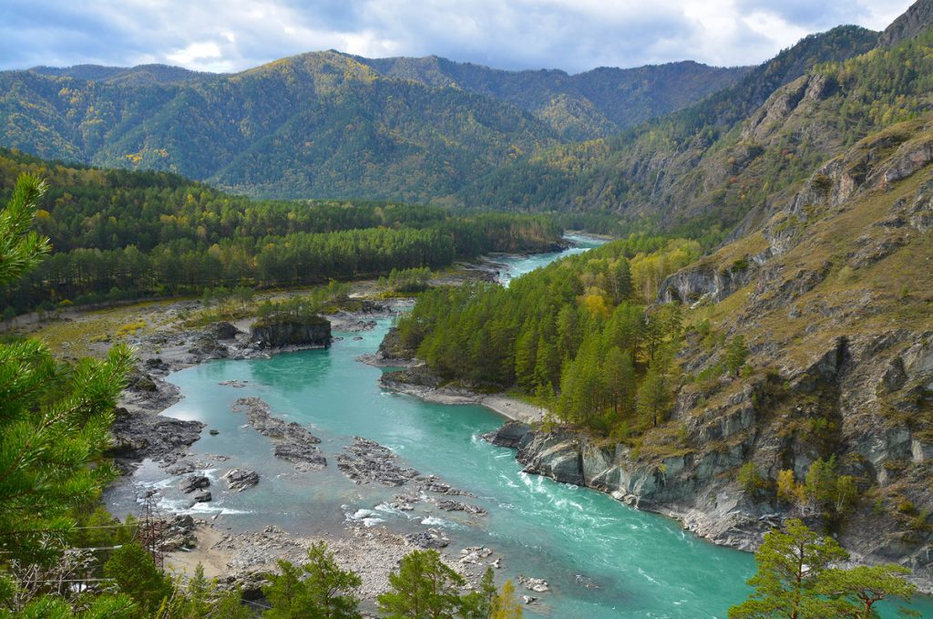 Чемал в мае фото