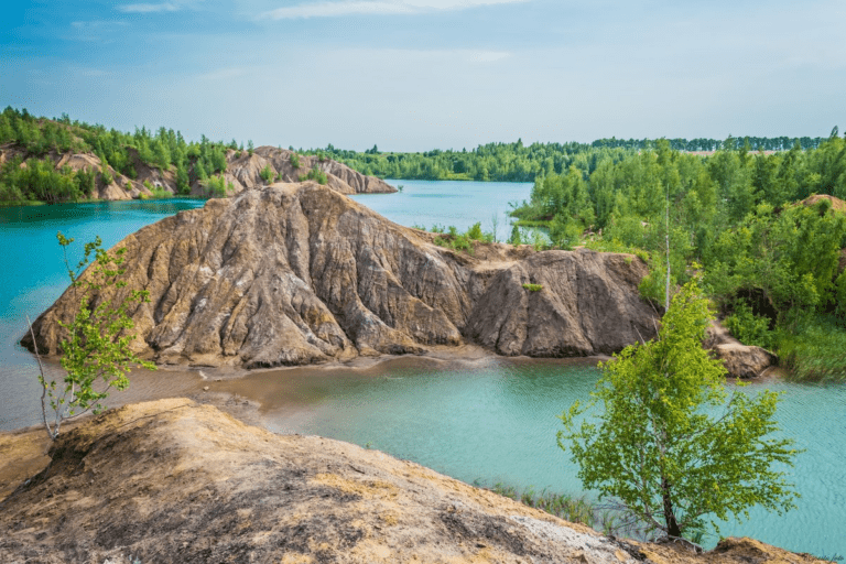 Клещи в тульской области фото